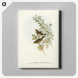 2-91_John-Gould_canvas