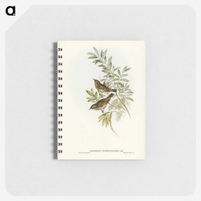 2-91_John-Gould_memo