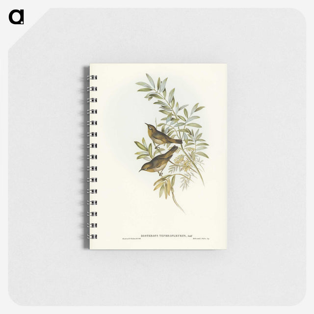 2-91_John-Gould_memo