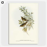 2-91_John-Gould_picture-crop