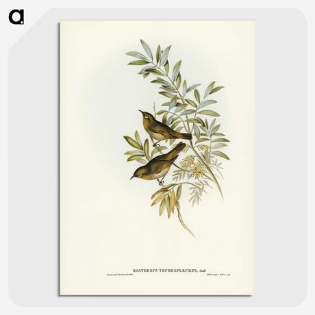 2-91_John-Gould_picture-crop