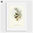 2-91_John-Gould_picture