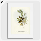 2-91_John-Gould_picture