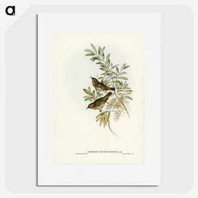 2-91_John-Gould_picture