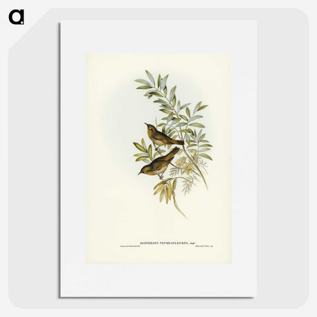 2-91_John-Gould_picture