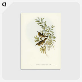 2-91_John-Gould_postcard