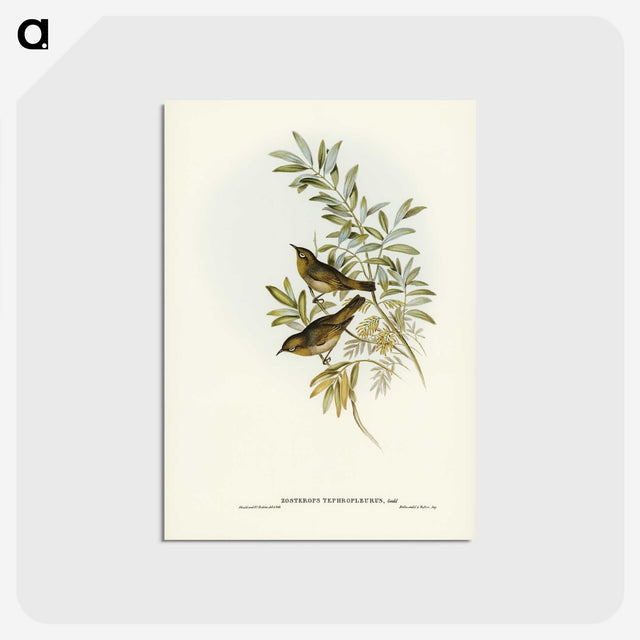 2-91_John-Gould_postcard