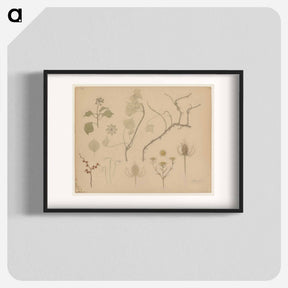 アートポスター-Studies van takjes, bloemen en distels - ユリー デ フラーハ Poster.