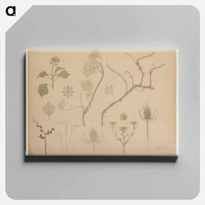 アートパネル-Studies van takjes, bloemen en distels - ユリー デ フラーハ Canvas.