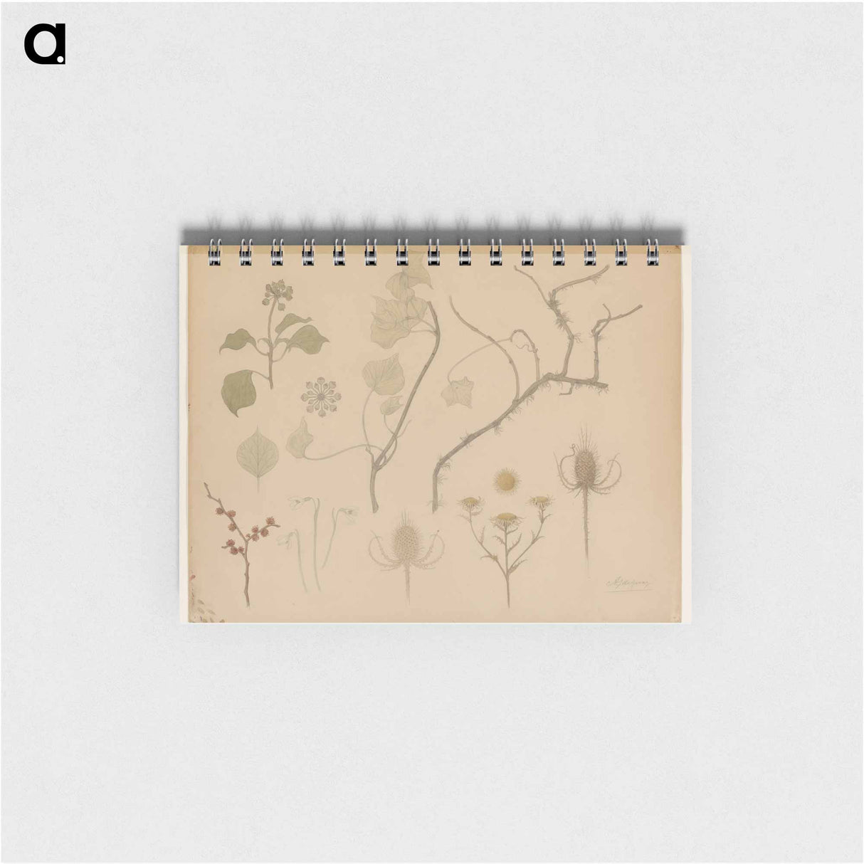 Studies van takjes, bloemen en distels - ユリー デ フラーハ Memo.