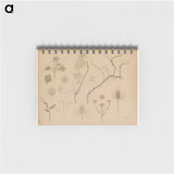 Studies van takjes, bloemen en distels - ユリー デ フラーハ Memo.