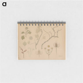 アートメモ帳-Studies van takjes, bloemen en distels - ユリー デ フラーハ Memo.