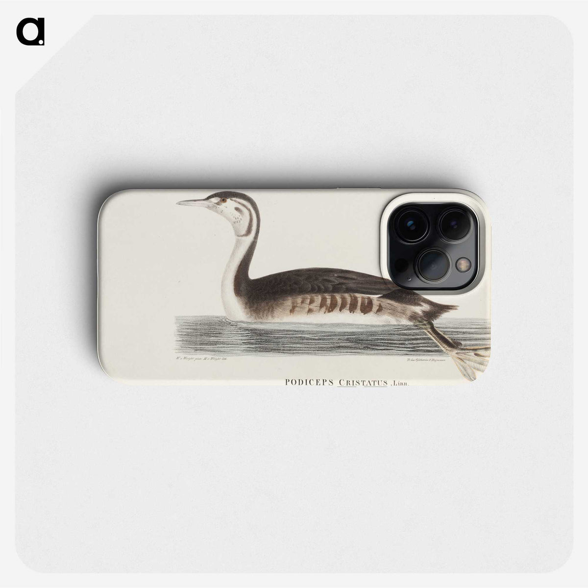 2-91_Magnus-von-Wright_phone