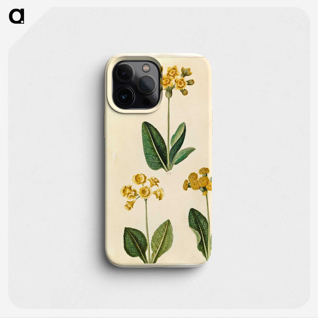 2-91_Maria-Sibylla-Merian_phone