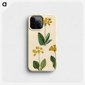 2-91_Maria-Sibylla-Merian_phone