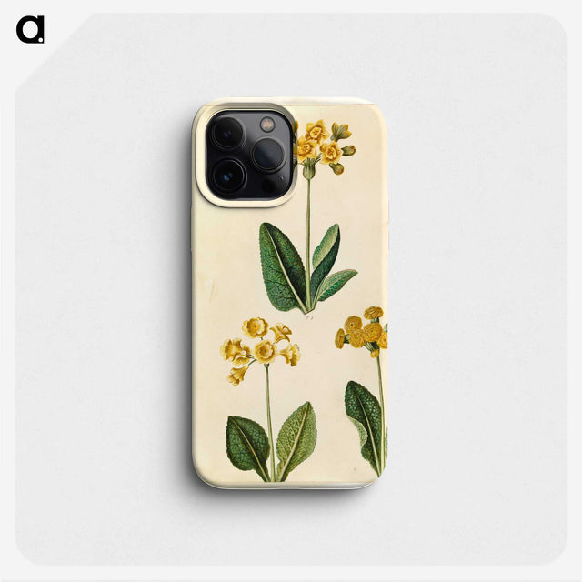 2-91_Maria-Sibylla-Merian_phone