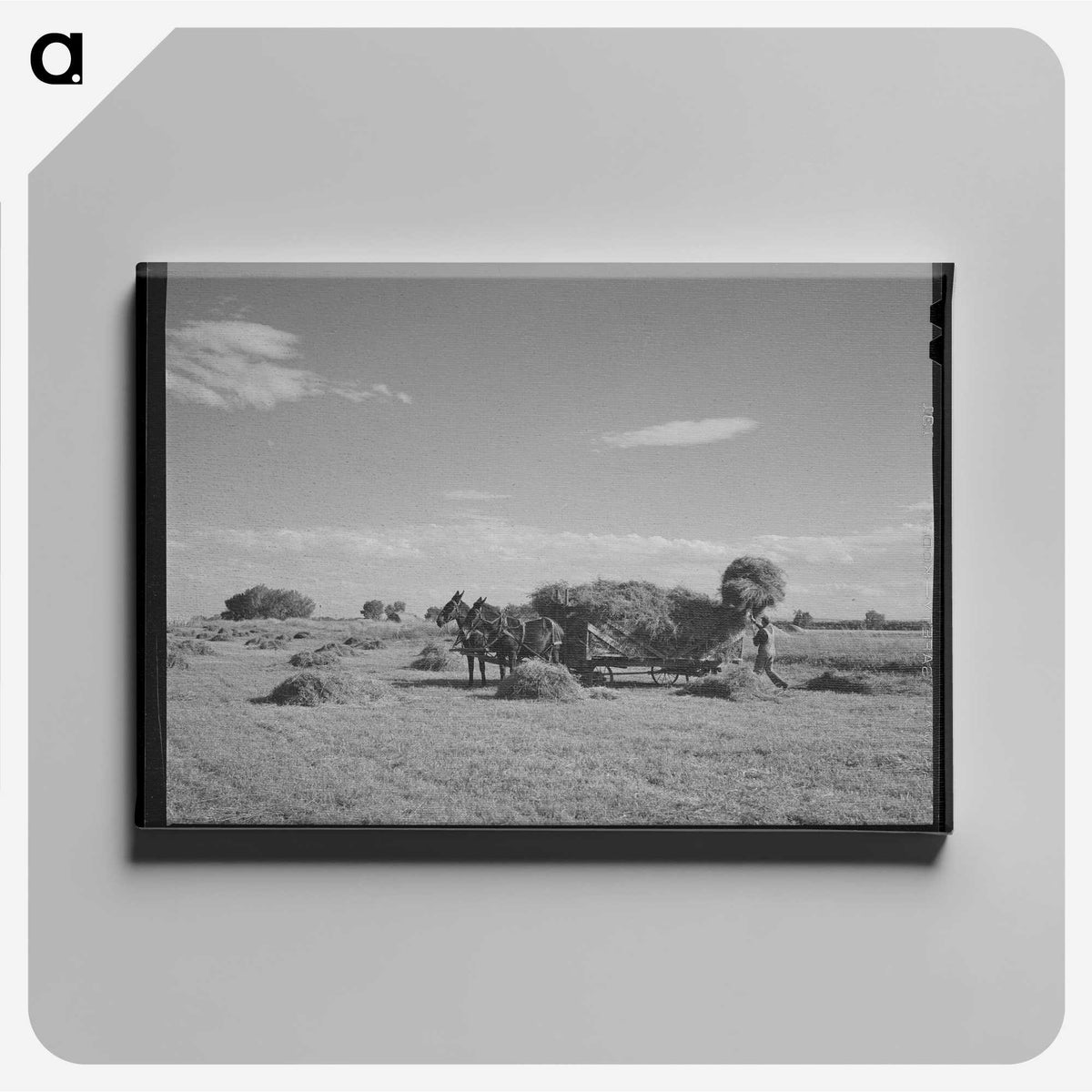 2-91_Marion-Post-Wolcott_canvas