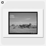 2-91_Marion-Post-Wolcott_picture