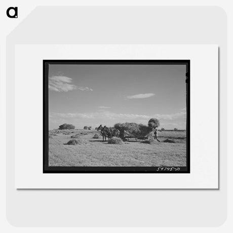 2-91_Marion-Post-Wolcott_picture