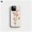 2-91_Mary-Vaux-Walcott_phone