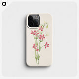 2-91_Mary-Vaux-Walcott_phone