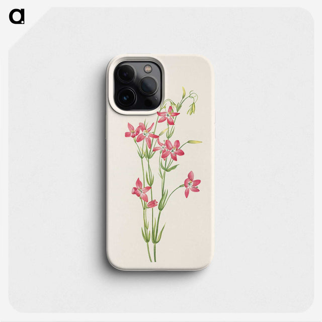 2-91_Mary-Vaux-Walcott_phone