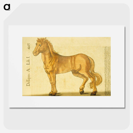 アートポスター-Study of a Horse
 - 国立医学図書館 Poster.