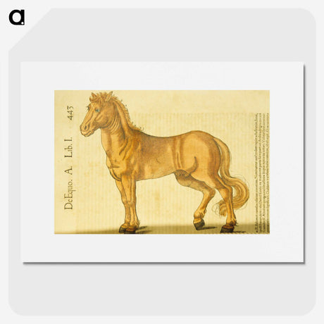 2-91_National-Library-of-Medicine_picture