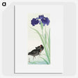 2-91_Ohara-Koson_picture