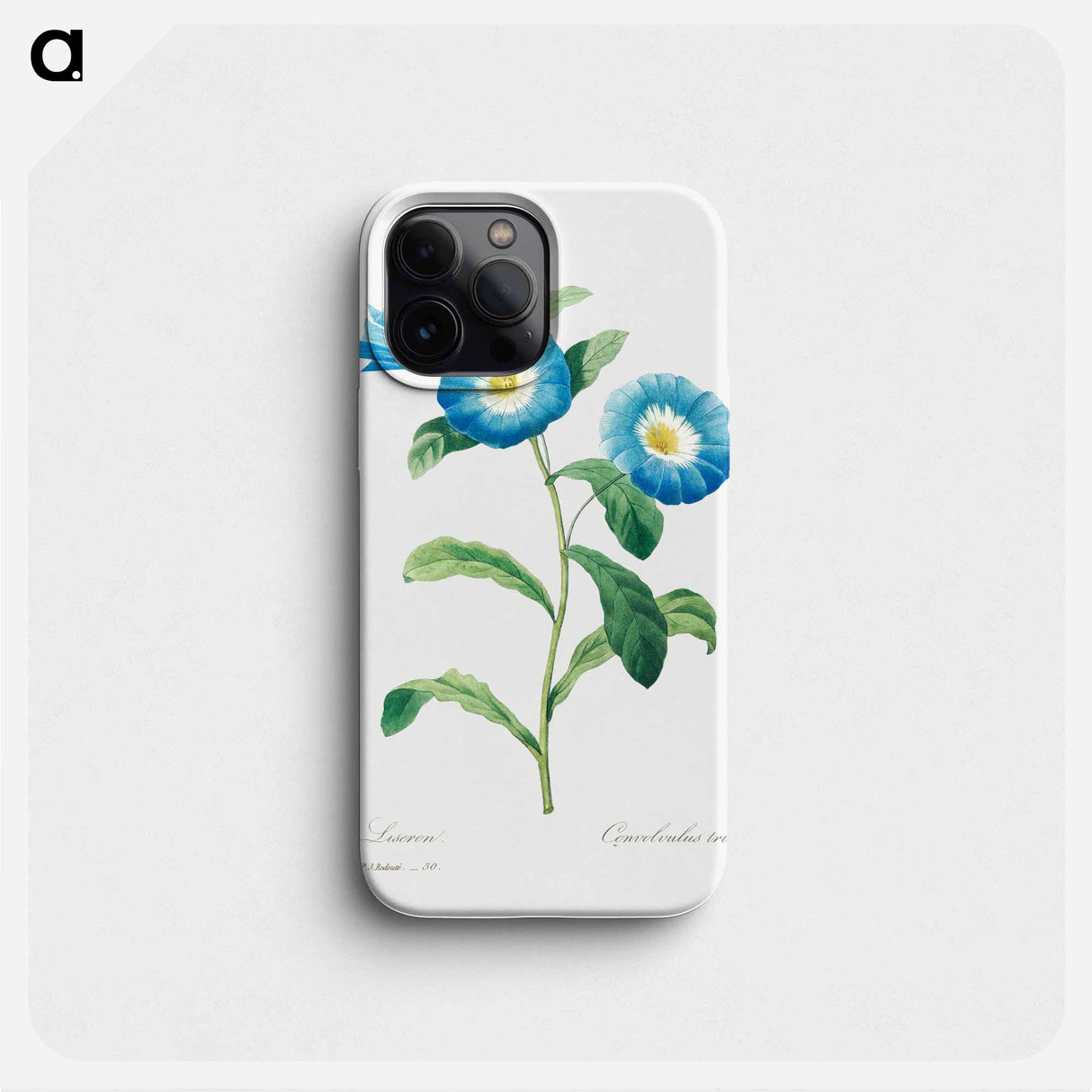 Field bindweed - ピエール ジョゼフ ルドゥーテ Phone Case.