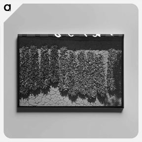 アートパネル-West Texans at Horse Auction
 - ラッセル リー Canvas.