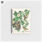 アートメモ帳-Baltimore Oriole from Birds of America
 - アメリカの鳥たち Memo.