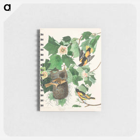 アートメモ帳-Baltimore Oriole from Birds of America
 - アメリカの鳥たち Memo.