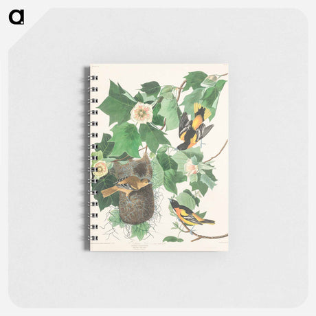 アートメモ帳-Baltimore Oriole from Birds of America
 - アメリカの鳥たち Memo.
