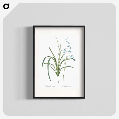 2-91_The-Lilies_blk