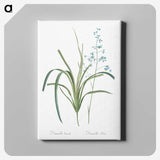 2-91_The-Lilies_canvas