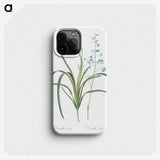 2-91_The-Lilies_phone