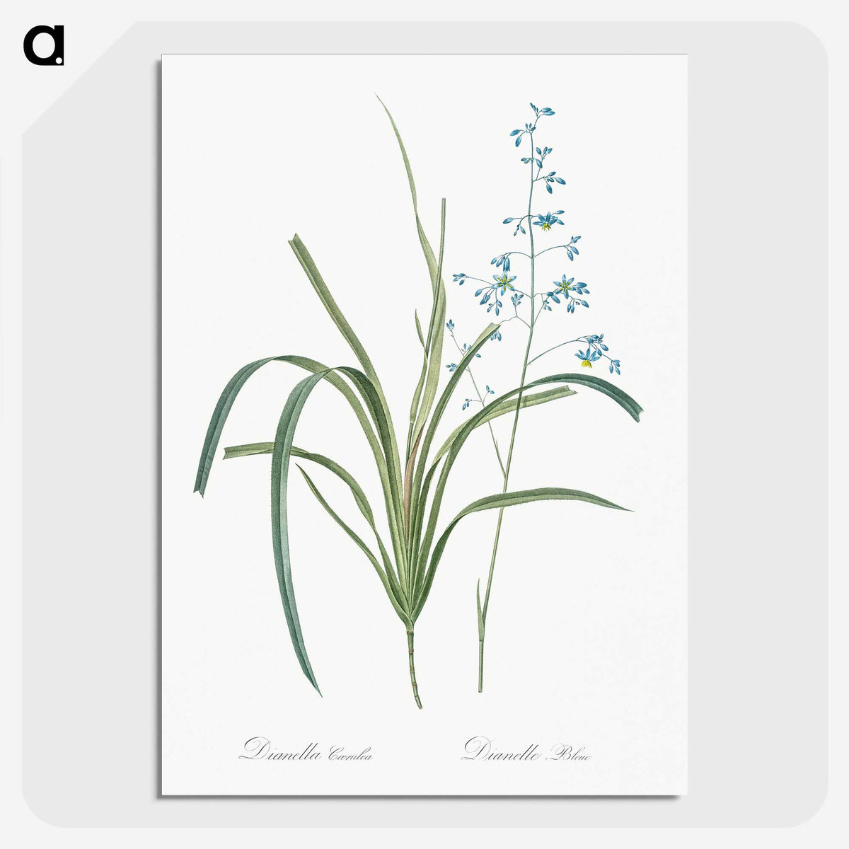2-91_The-Lilies_picture-crop