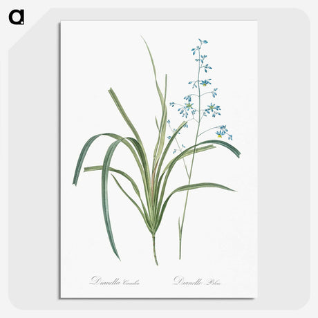 2-91_The-Lilies_picture-crop