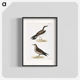 2-91_Zoology-of-New-York_blk