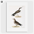 2-91_Zoology-of-New-York_picture