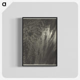 2-92_Alfred-Stieglitz_blk-crop