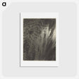 アートポストカード-Equivalent, from Set A (Third Set, Print 3) - アルフレッド スティーグリッツ Postcard.