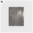2-92_Alfred-Stieglitz_memo