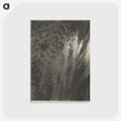 2-92_Alfred-Stieglitz_postcard