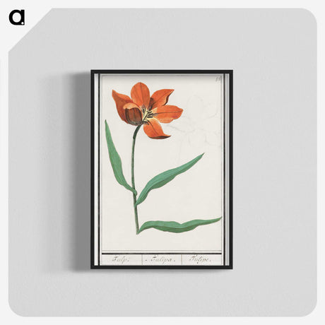 2-92_Anselmus-Boetius-de-Boodt_blk-crop