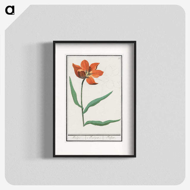 2-92_Anselmus-Boetius-de-Boodt_blk