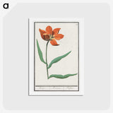 2-92_Anselmus-Boetius-de-Boodt_hagaki