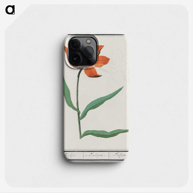 2-92_Anselmus-Boetius-de-Boodt_phone