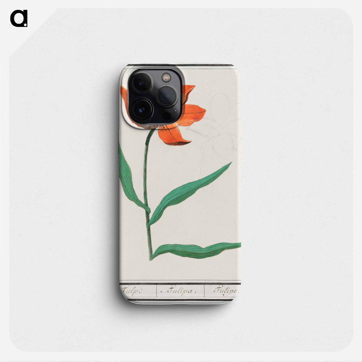 Tulip - アンセルムス ボエティウス デ ブート Phone Case.